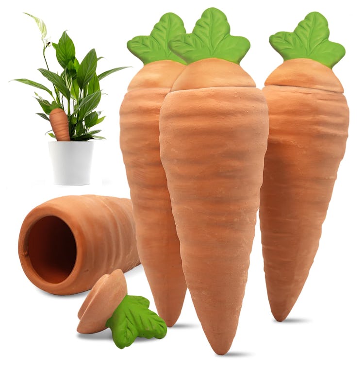 Amoyls Terracotta Watering Spikes (4-Pack)