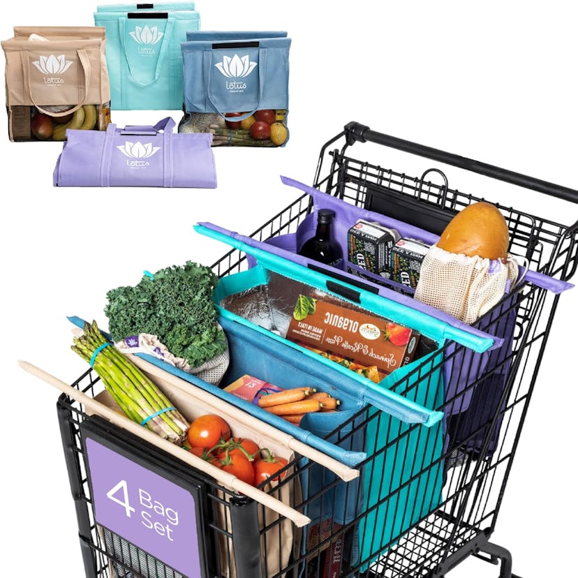 Lotus Trolley Bags (Set of 4) 