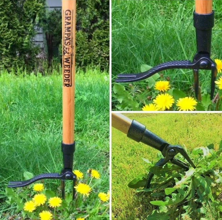 Grampa's Weeder Weed Puller Tool