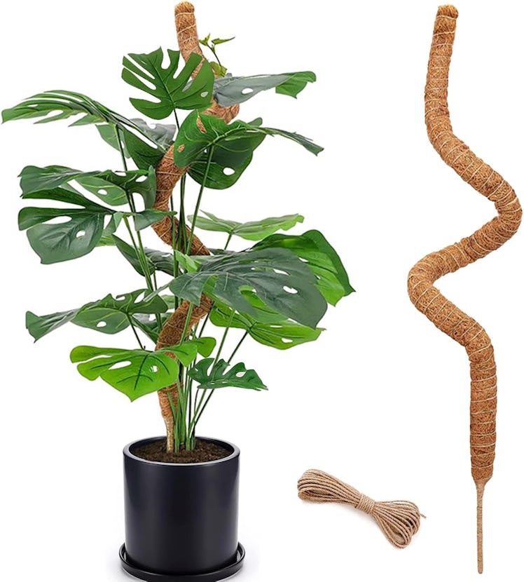Soupiar Bendable Moss Pole