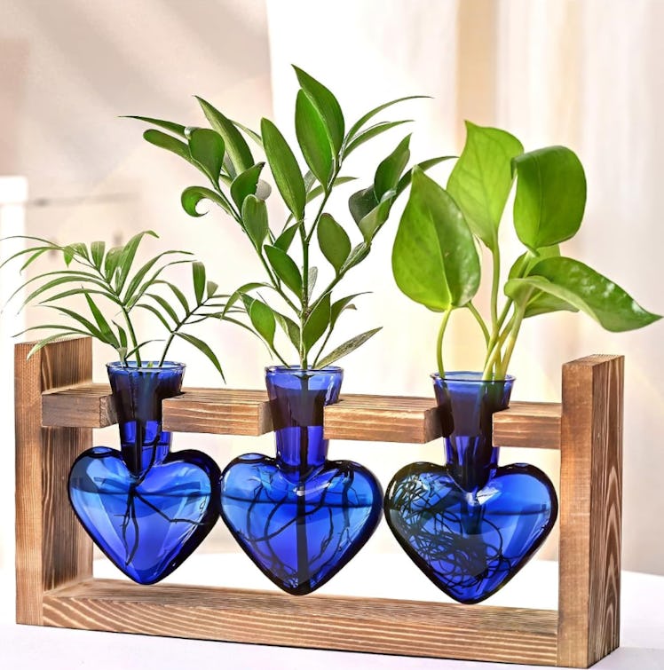 Lifecapido Heart Shaped Propagation Stations