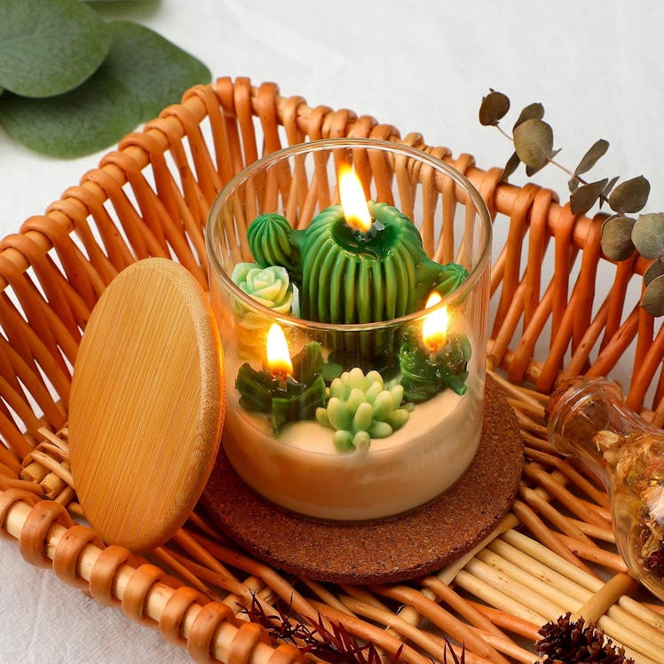 Tondiamo Succulent Jar Candle