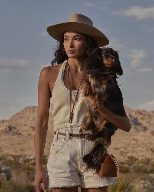 luxury dog brands