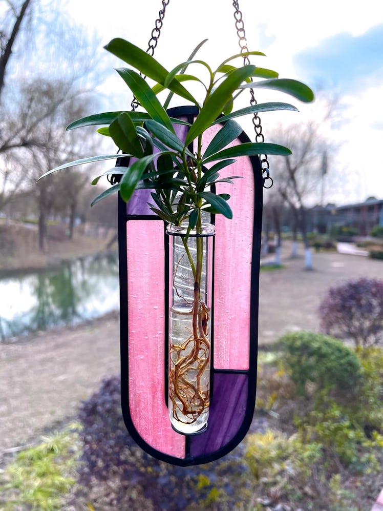 LITMIND Stained Glass Plant Propagation Station
