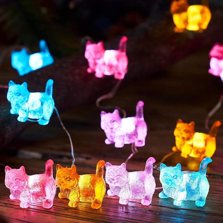 JAKISHA Indoor Cat String Lights