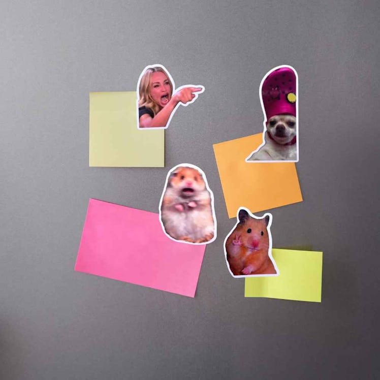 YJ Premiums Funny Meme Magnets (12-Pieces)