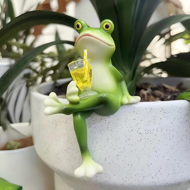 Suqorinp Mini Frog Figurine