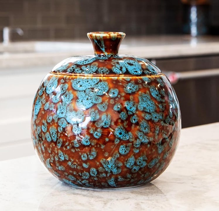 Elevated Lifestyle Fruit Fly Trap Jar