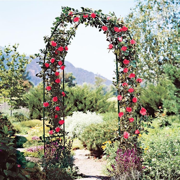LeJoy Garden Metal Pergola