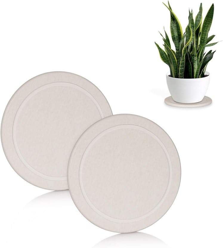 Creproly Plant Saucers (2-Pieces)