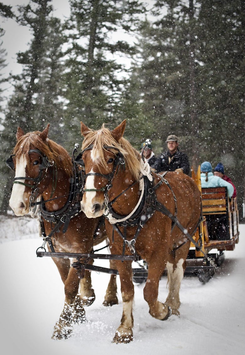 winter, their Sleigh Ride Dinner