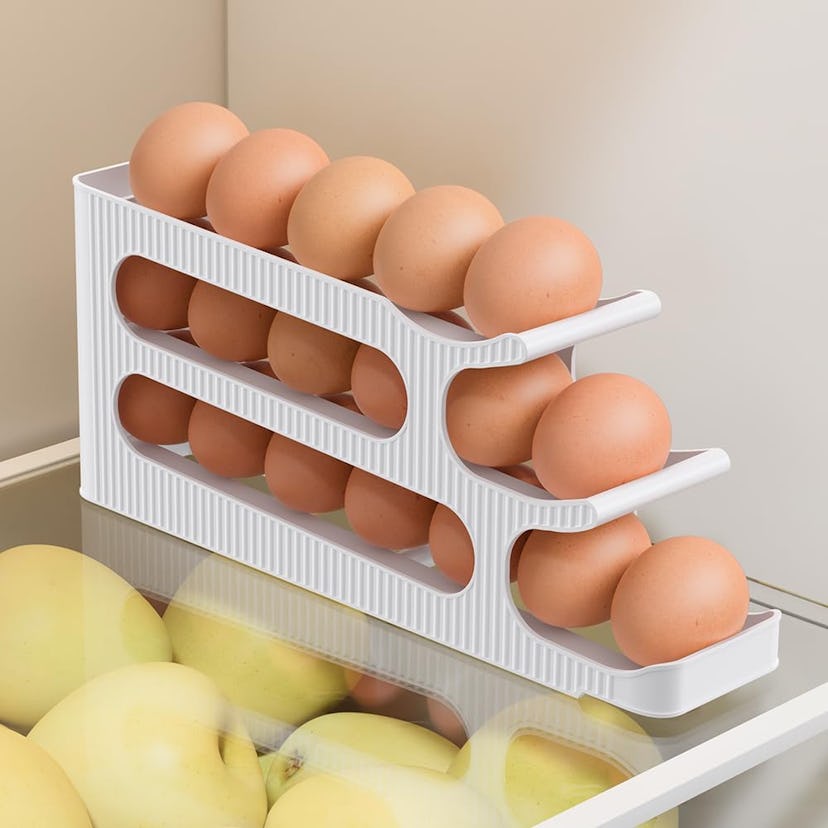 Speringeen Fridge Egg Holder