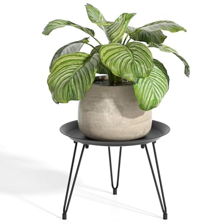 SUEH DESIGN Indoor Plant Stand