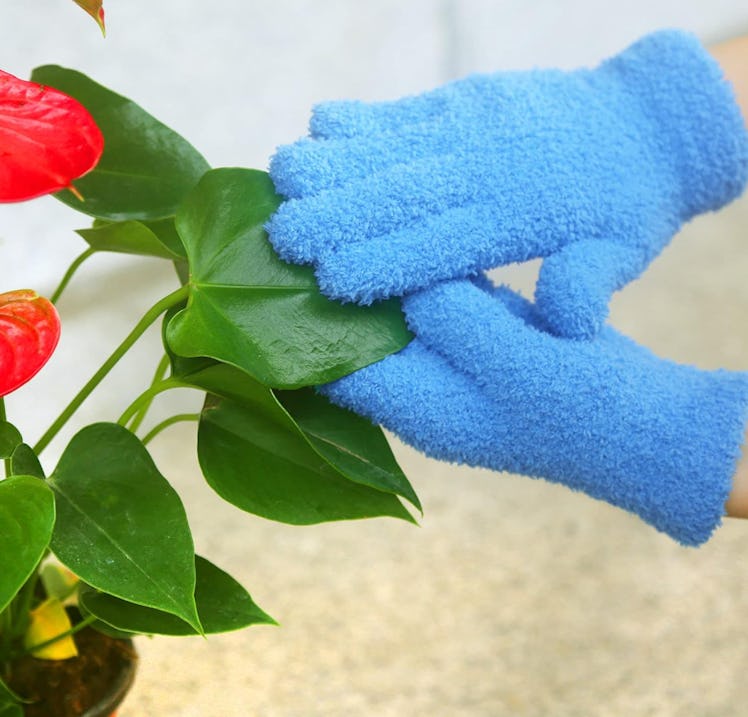 Evridwear Microfiber Plant Dusting Gloves (2-Pack)