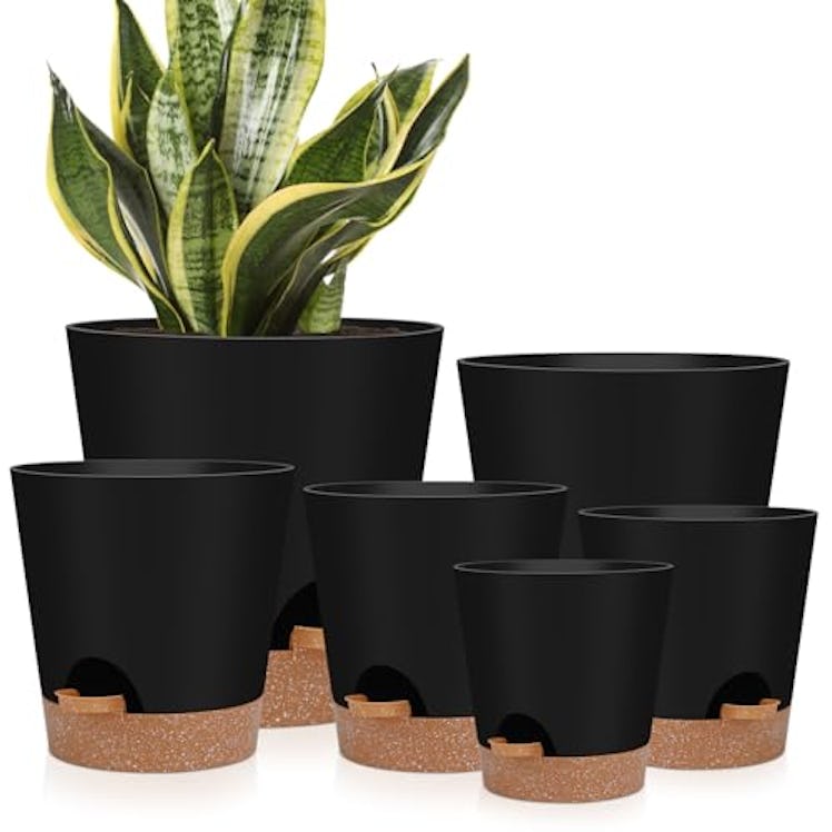 YNNICO Self Watering Planters (6-Pack)