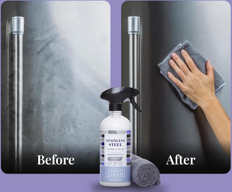 Therapy Stainless Steel Cleaner Kit 