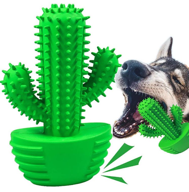 Pamlulu Dog Toothbrush Stick