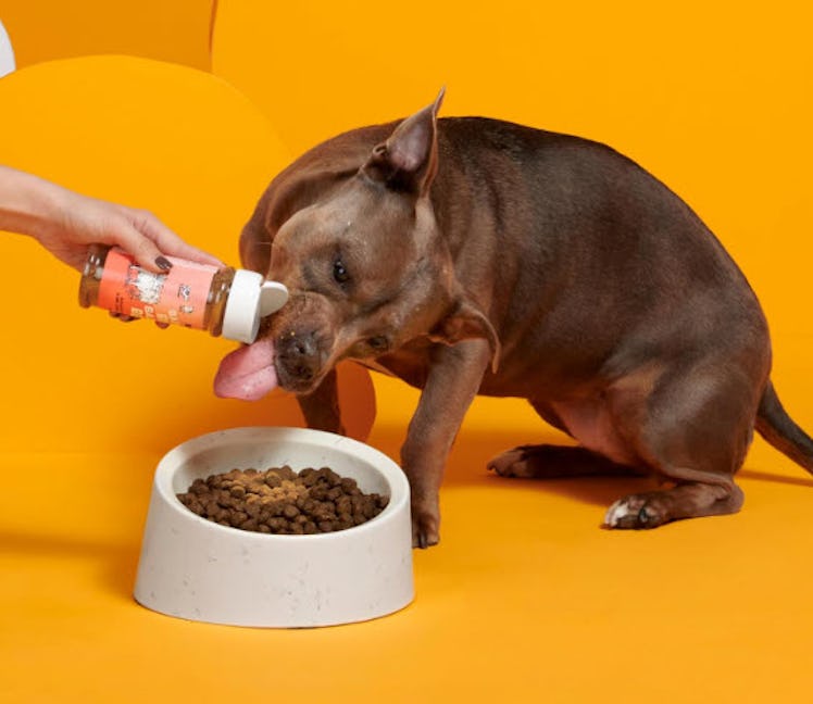 Barkbox Bada Bing Beef Dry Dog Food Topper