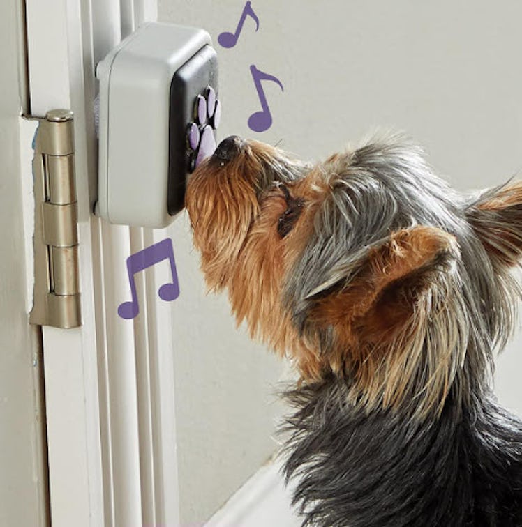 Hunger for Words Talking Pet Doorbell