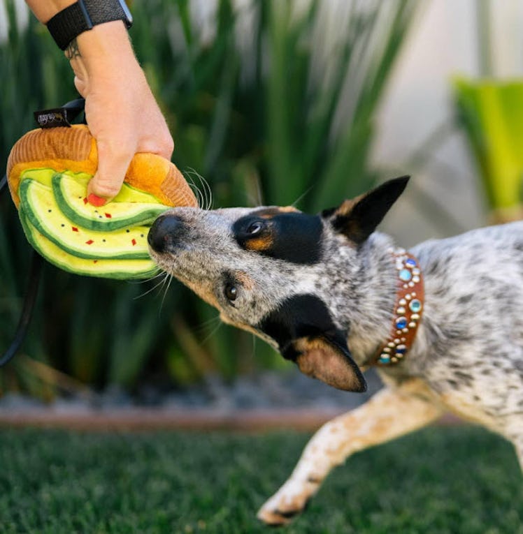 P.L.A.Y. Cute Plush Dog Toys