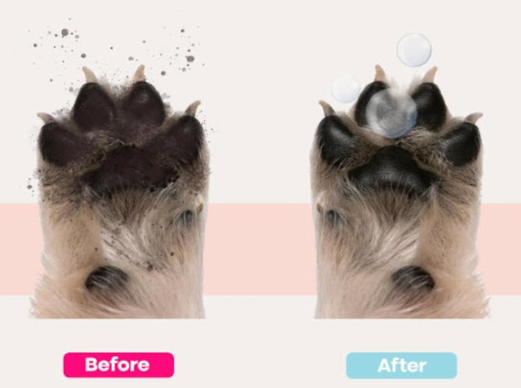 Uproot Clean No-Rinse Dog Paw Cleaner