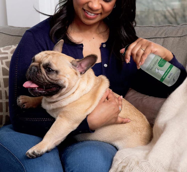Wahl Scent-Free Pet Odor Neutralizer Spray for Dogs