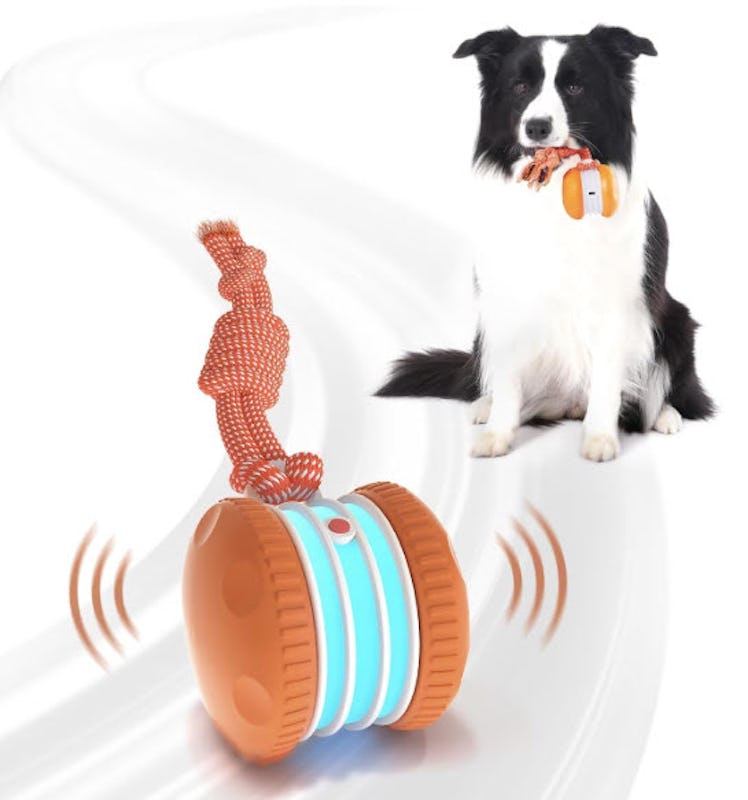 QGI Interactive Dog Toy