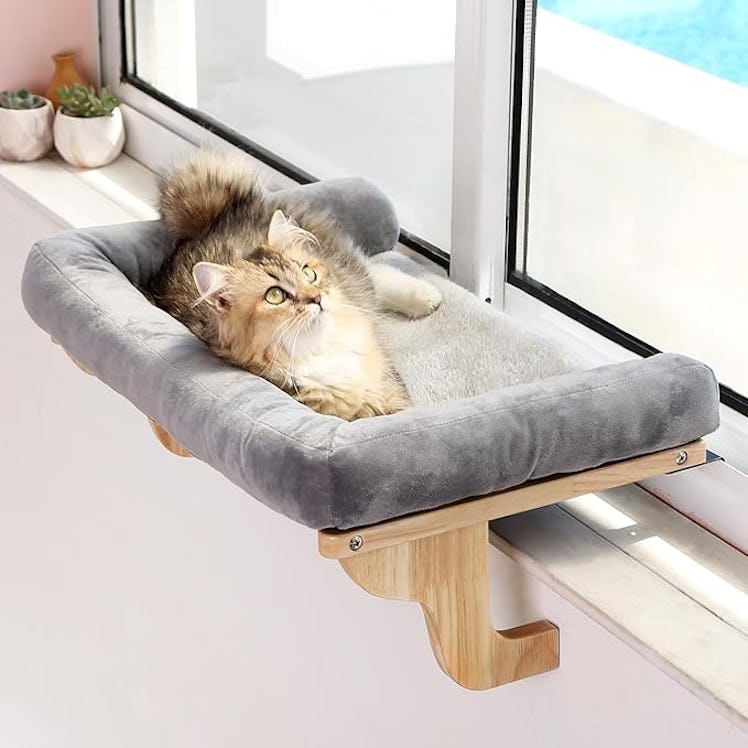 Zakkart Window Sill Cat Perch