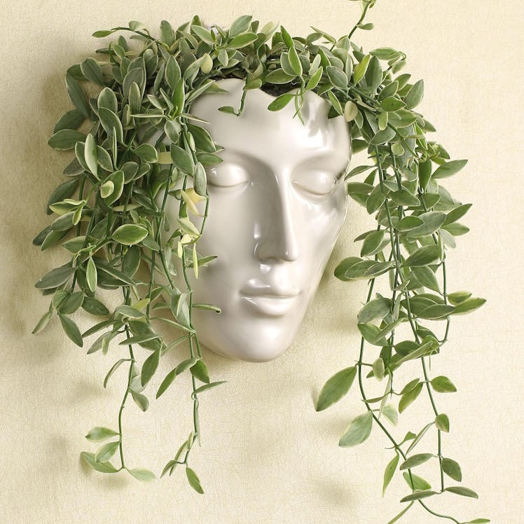 Yuccasly Face Wall Planter