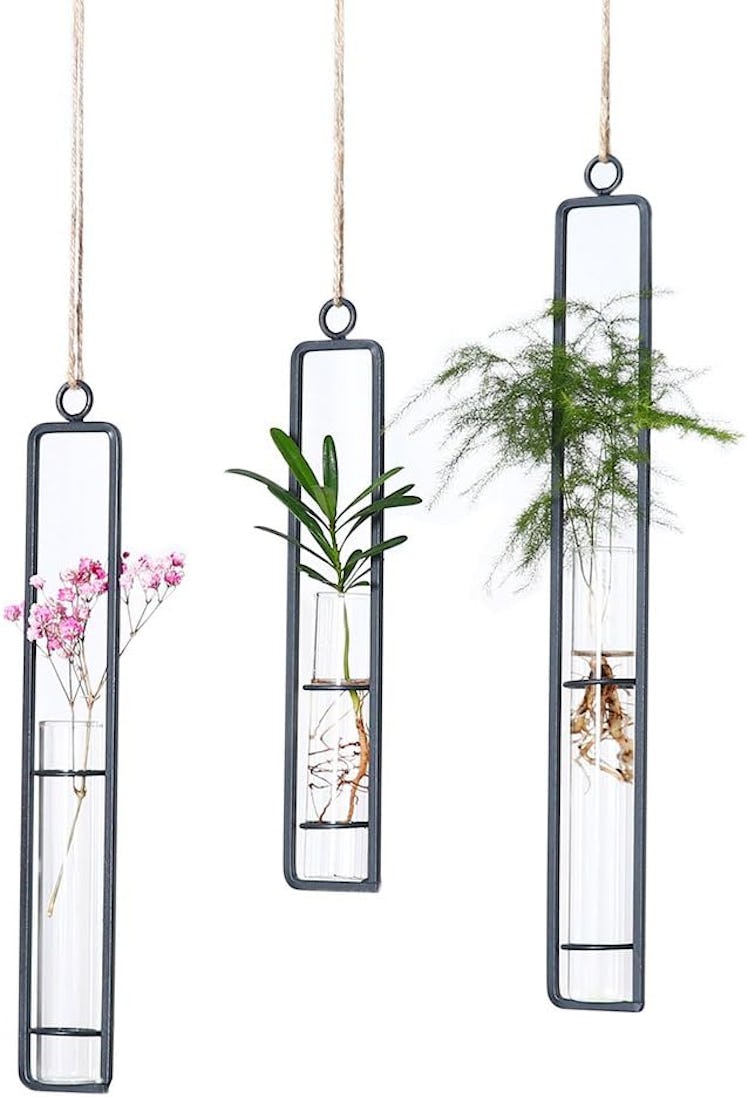 Aoderun Hanging Glass Planter Test Tubes (3 Pieces)