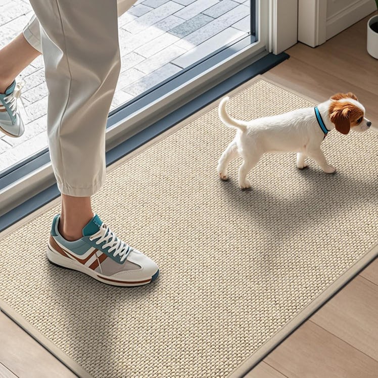 LEKEEPGO Non-Slip  Door Mat