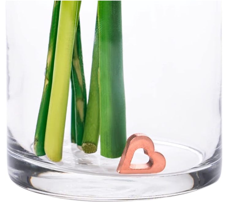 Precious Petal Co. Flower Food Alternative