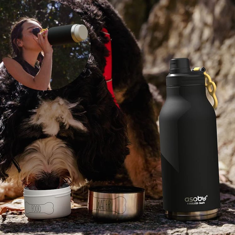 Asobu Dog Barky Stainless Steel Insulated Water Bottle with Dog Bowls