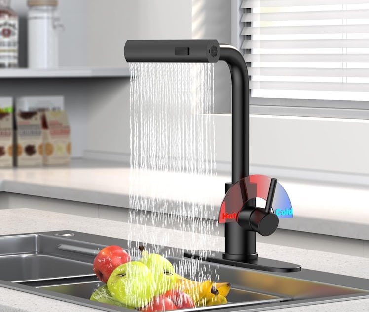 Avsile Spray Sink Faucet 