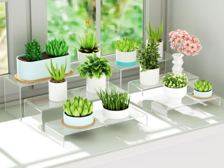 NIUBEE Acrylic Display Riser (6-Piece)