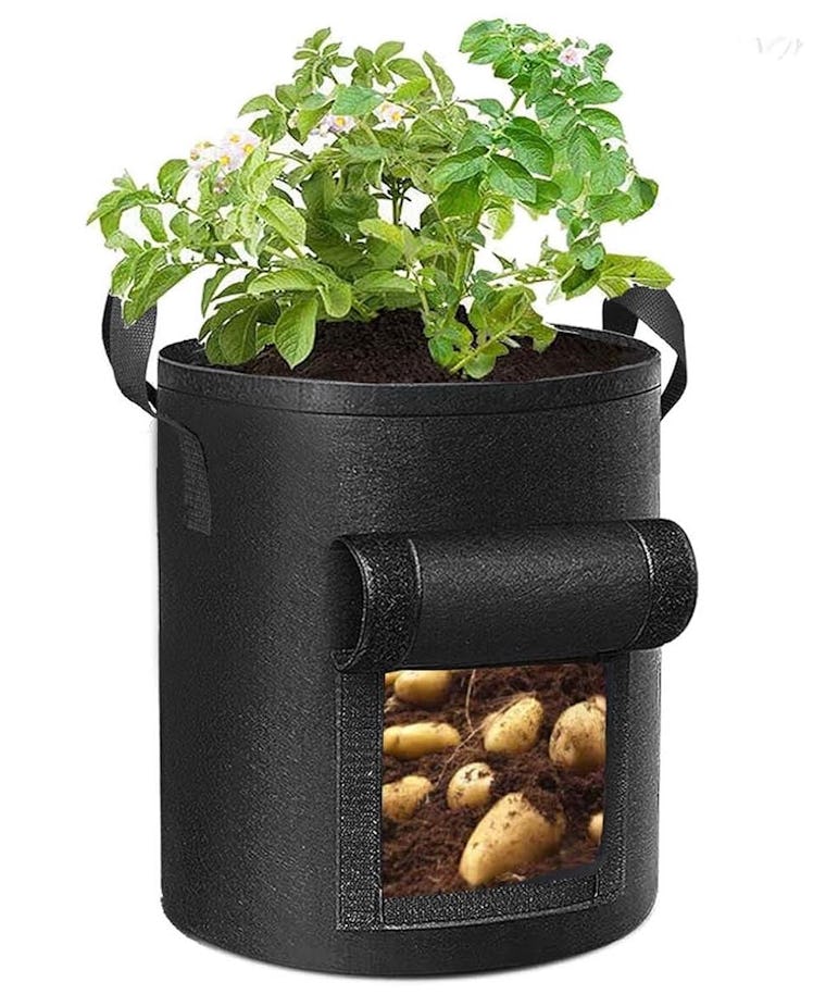 Cavisoo Potato Grow Bag