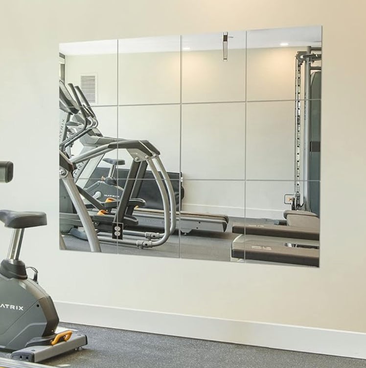 Ruomeng Gym Mirrors 