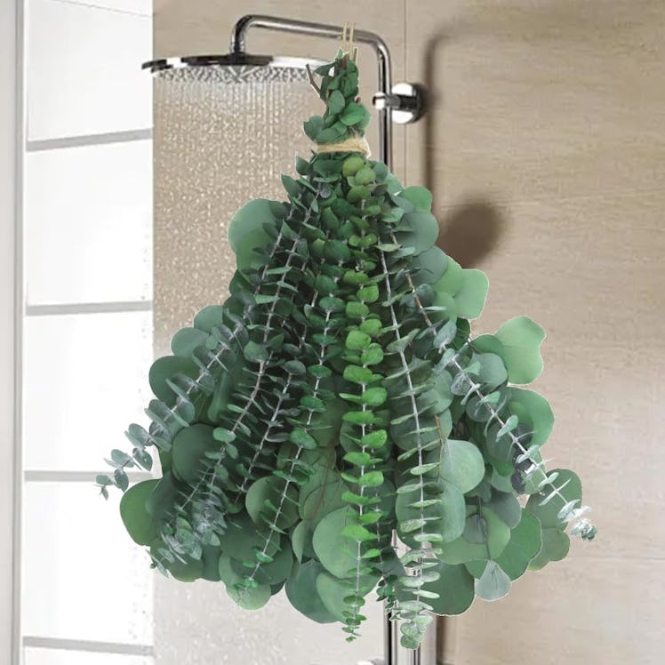 Dried Eucalyptus Stems (24 Pieces)