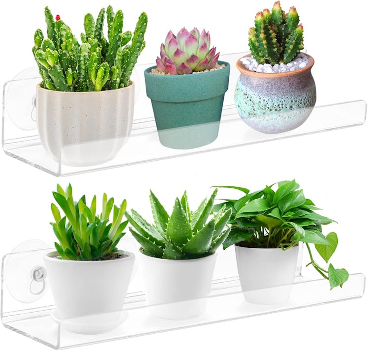 Skewo Window Plant Shelves (2-Pack)