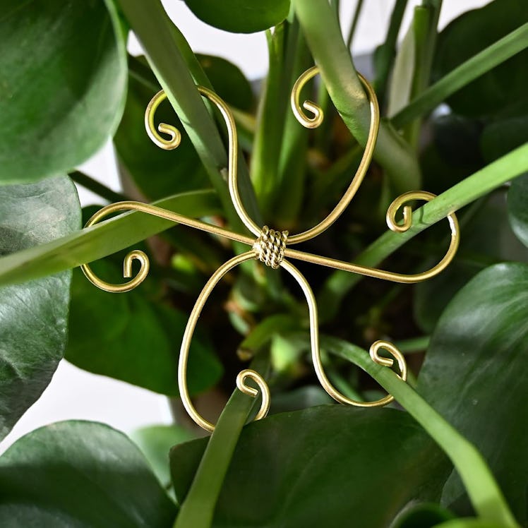 Goooxim Monstera Plant Support Stakes (5-Pack)