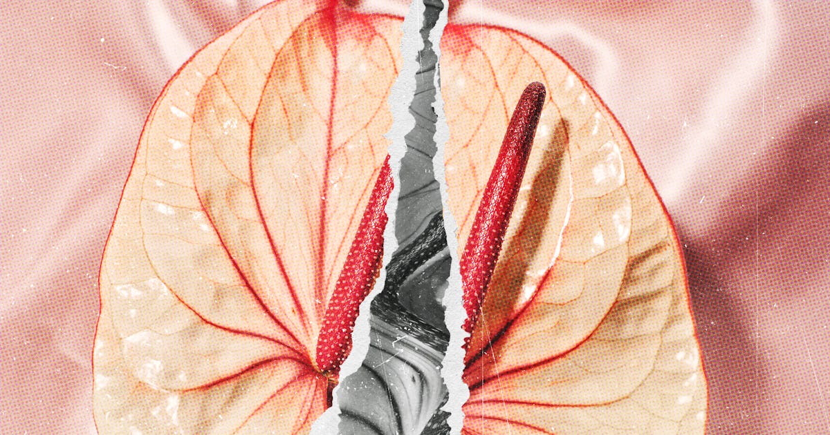 I Had A Hysterectomy, Felt Like A New Woman, Then Tore My Vagina. Twice.