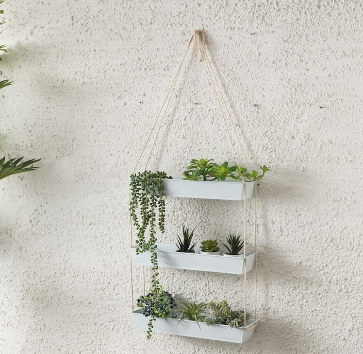 LaLaGreen Hanging Wall Planter