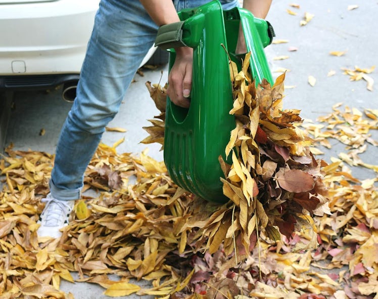  Gardzen Large Leaf Scoop Hand Rakes (Set of 2) 