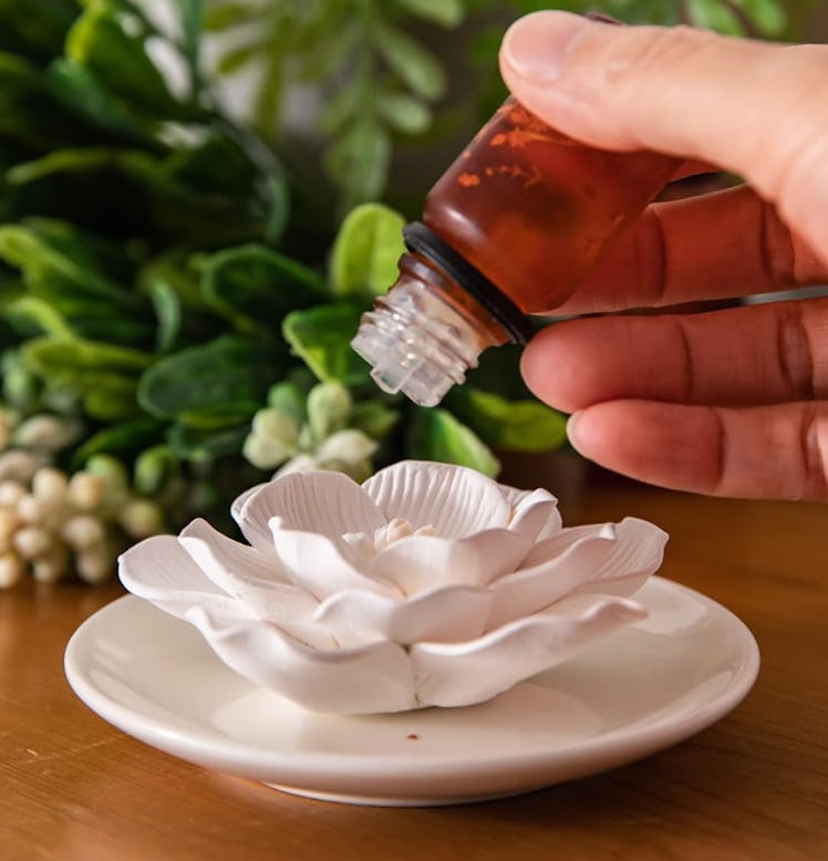 oumeibe Passive Essential Oil Diffuser 