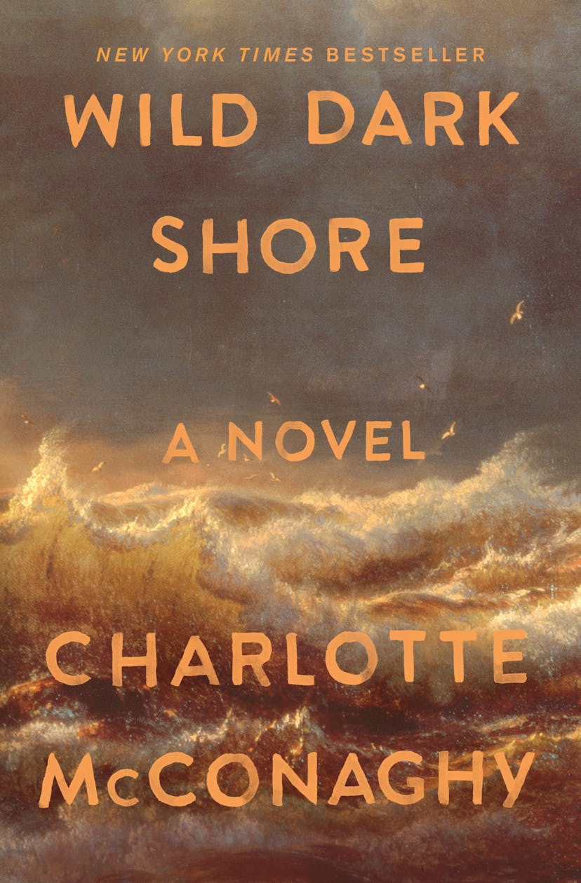 Wild Dark Shore: A Novel by Charlotte McConaghy, one of amazons best books of the year