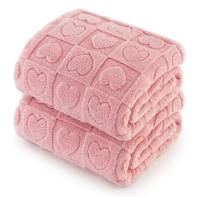 Bedsure Fluffy Pet Blanket