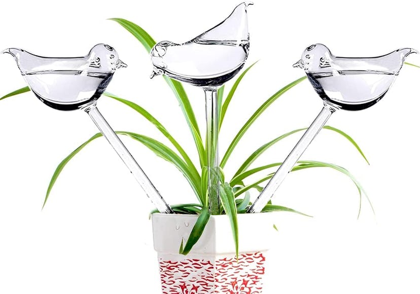 Adabocute Glass Plant Watering Globes (3-Pack)