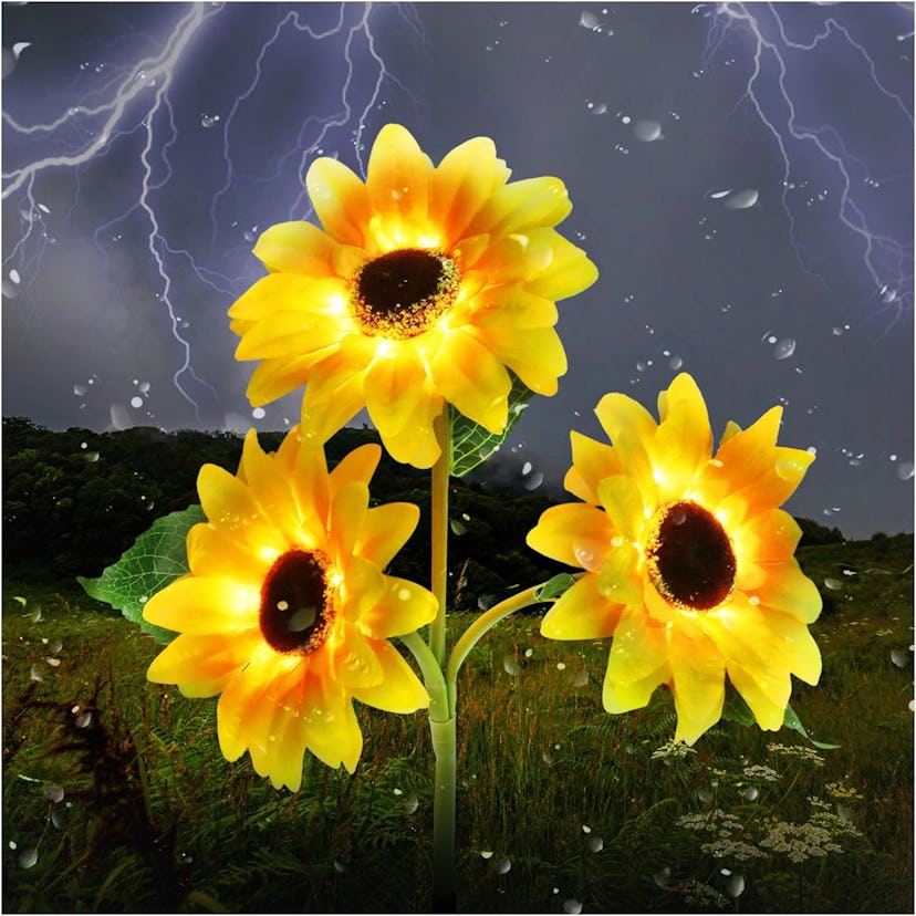 MMHF Outdoor Solar Garden Stake Lights