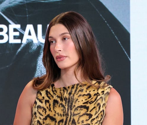 Hailey Bieber Wavy Brown Hair