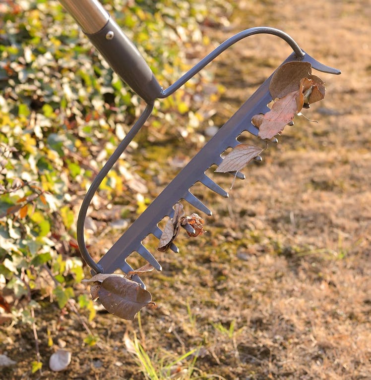 COCONUT Garden Rake